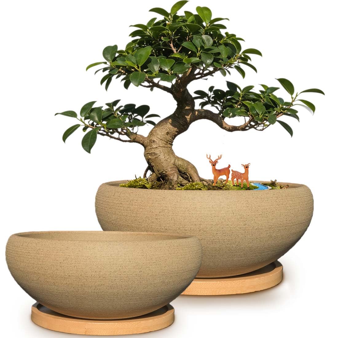 MUZHI 2 Pack 8+6 Inch Plant Pot - Natural Unglazed Ceramic Bonsai Pot with Bamboo Saucer, Large Vintage Clay Shallow Planter Pot with Drainage Hole โ image 1