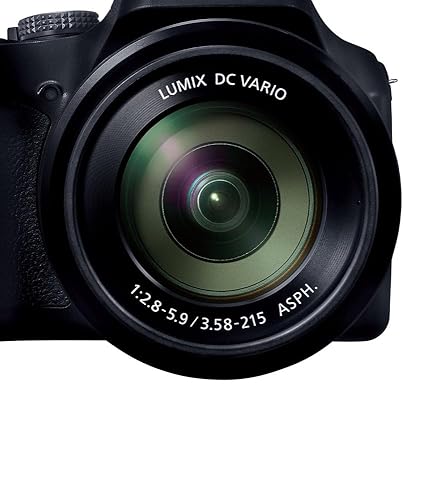Amazon.com : Panasonic LUMIX FZ80D Point and Shoot Digital Camera