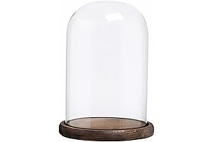 10" La Cupula Glass Display Cloche with Rustic Base