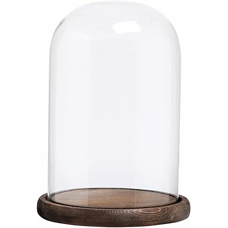 10" La Cupula Glass Display Cloche with Rustic Base