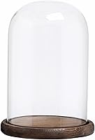MyGift 10-Inch Glass Bell Jar Cloche with Rustic Wood Base - Elegant Display Dome for Plants, Keepsakes, Curios & DIY Decor