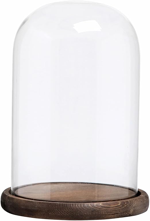 Decorative Clear Glass Cloche Bell Jar Display Case with Wood Base