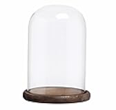 MyGift The Bell Jar Glass Cloche with Rustic Wood Base, 10 Inch Tall Clear Decorative Glass Dome Display for Plants, Curios, Keepsakes, Heirlooms