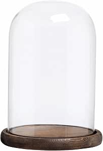 Uxcell 9.1x3.5 Glass Dome Cloche Clear Bell Jar Display Case Tabletop Centerpiece With Wooden Base 9e51da7a C131 4fbf 9c00 8667e86c075d.0319f690d2116cabd85861fb7d3bc07f