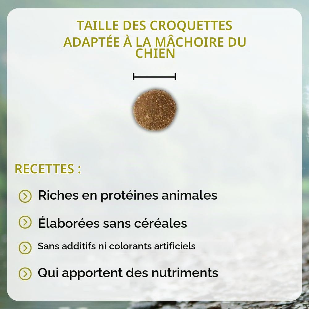 NUTRIVET - INNE Chien - Croquettes sans Céréales - Chien Adulte stérilisé ou en surpoids- Volaille - 80% d'ingrédients d'origine Animale - 12 kg