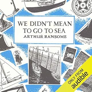 We Didn't Mean to Go to Sea cover art