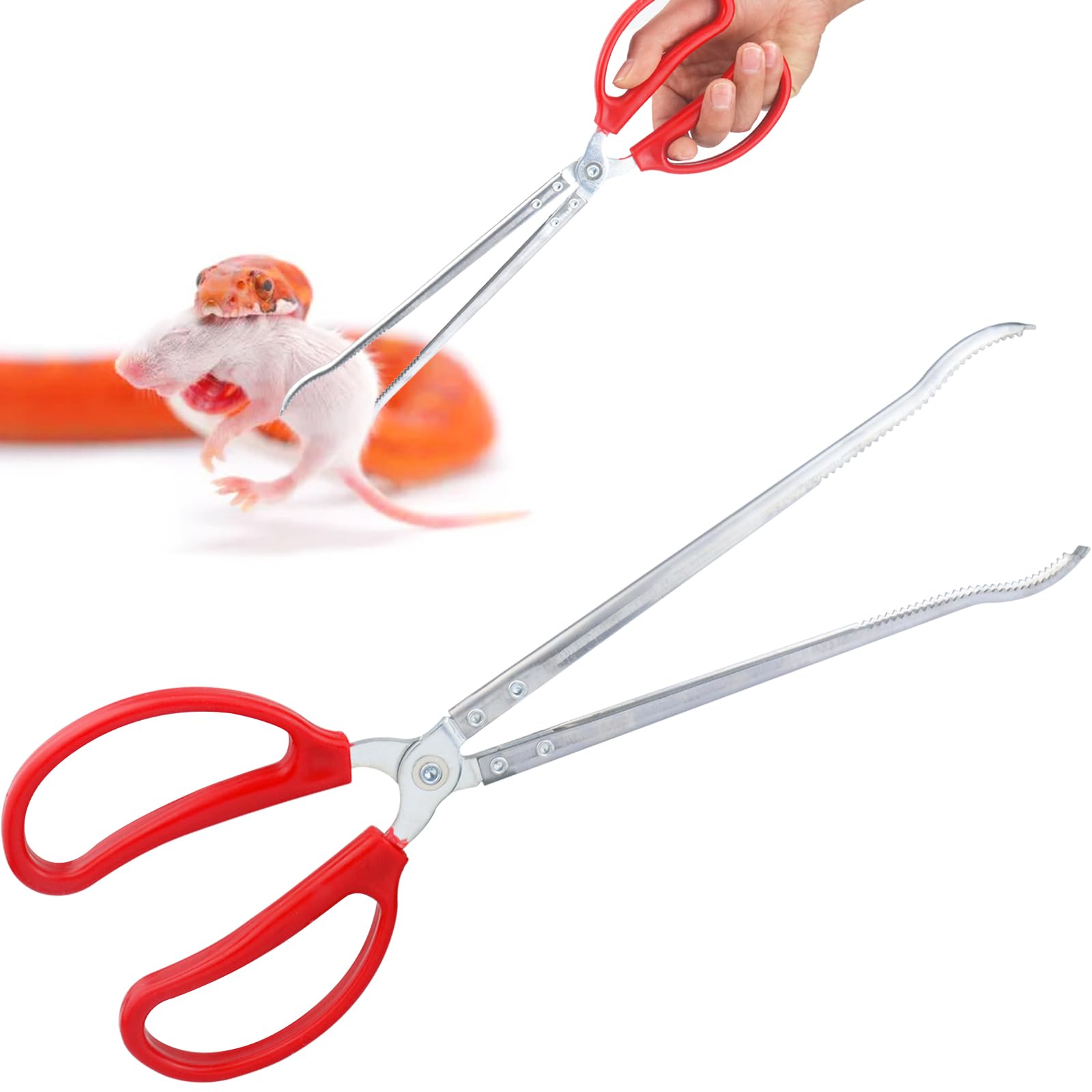 WORFACE 15 Inch Reptile Feeding Tongs - handling tools | Mubboo