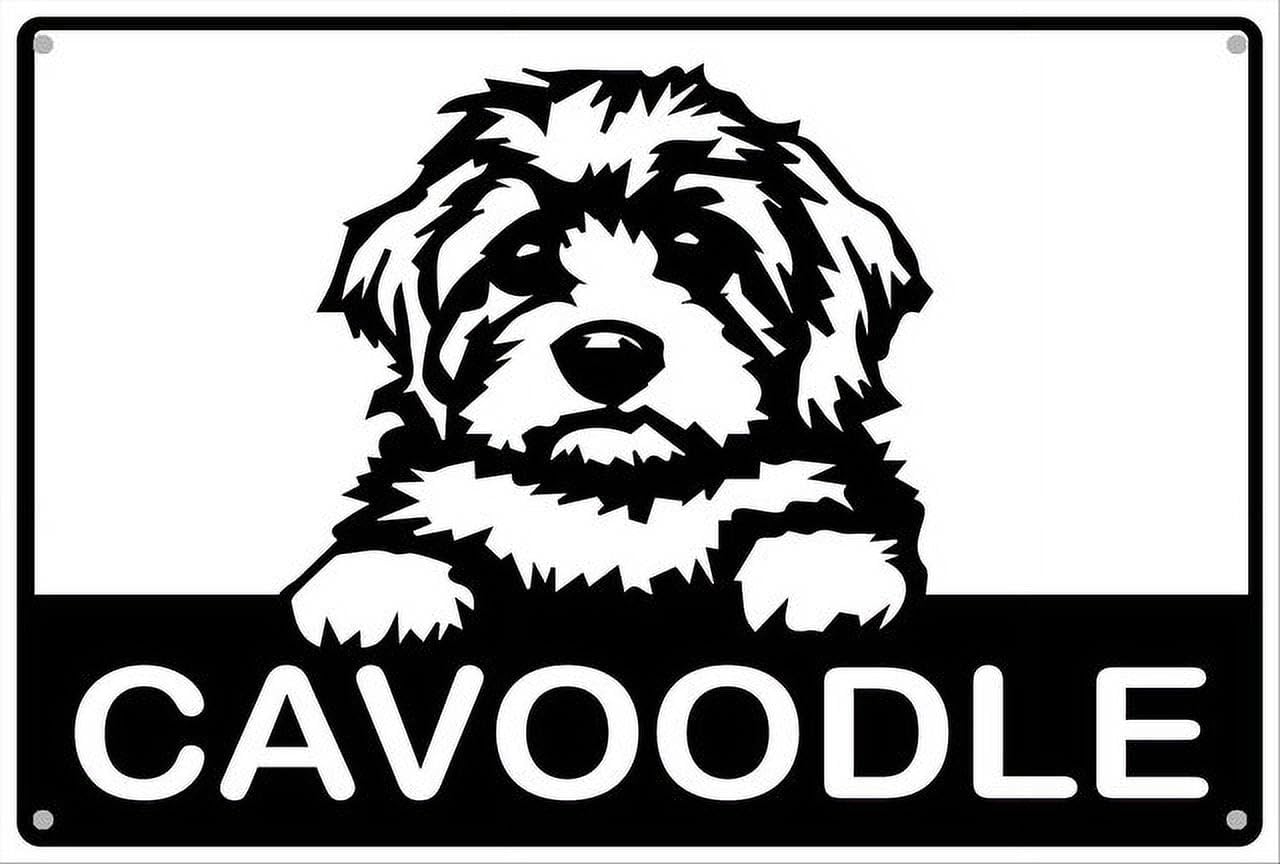 peiyeety Cavoodle Aluminum Tin Sign for Home Kitchen Wall Decor 12X8Inch