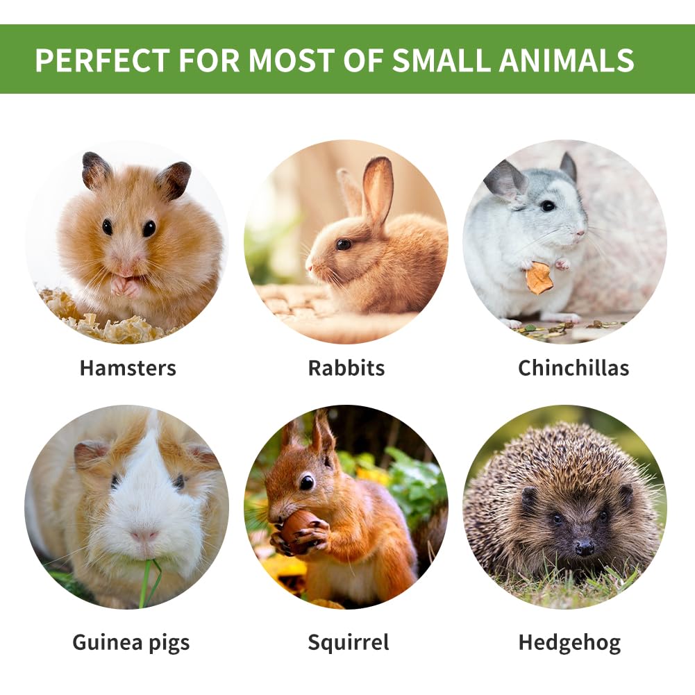 JabłKo żUć PałEczki,Bunny Kij Do żUcia,12 Szt. Kije JabłKowe，6 Szt. słodki bambus, MałE Zabawki Do żUcia,Zabawka Do żUcia KróLika Ze 100% Naturalną PałEczką JabłKową,KróLikiem,Chomikiem,Papugą