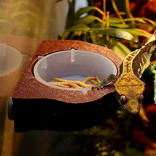 Miniatura 7 de Lizard Feeder, Feeder Lizard Bowl Plastic Stable Reptiles Pet Feeder Bowl Food Dish Suspension Type for Lizard (Brown) Reptile breeding Tools,