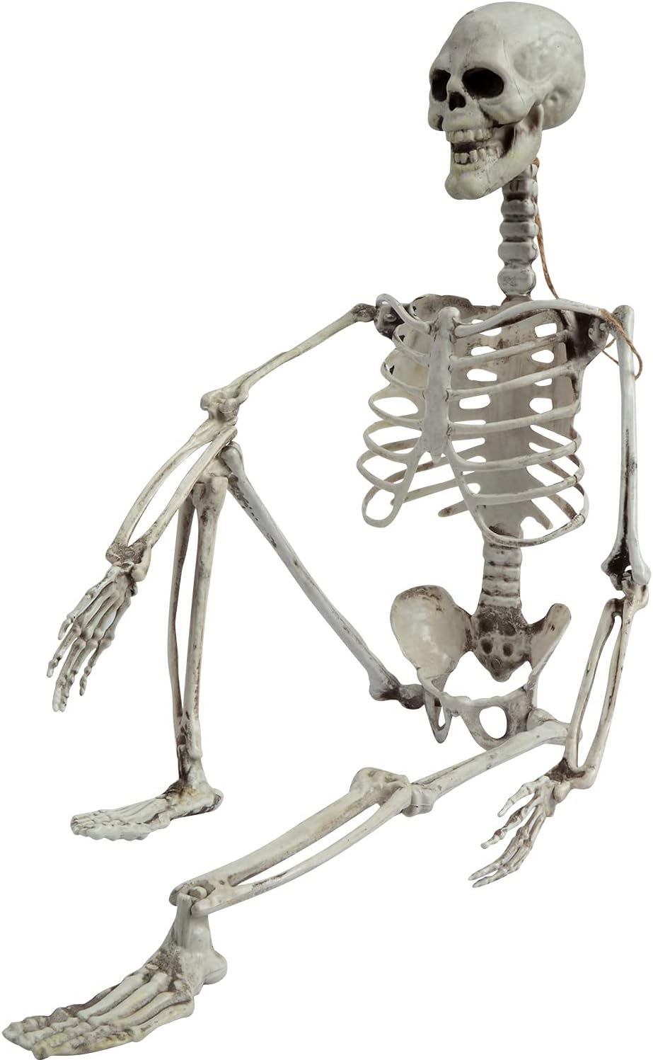 XONOR 27” Halloween Skeleton Realistic Full Body Skeleton Bones with Movable Joints for Halloween Party Decoration