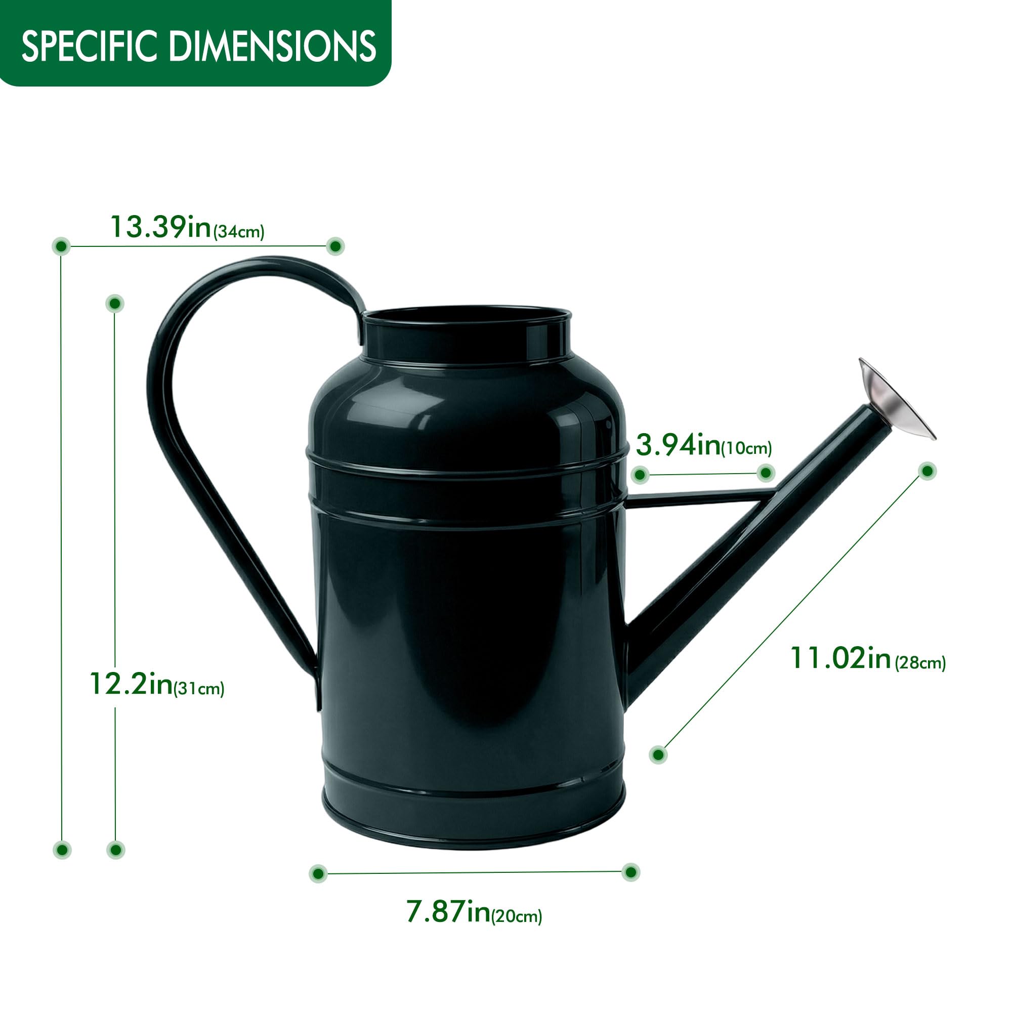 Arrosoir en métal galvanisé de 8,7 l pour plantes d'extérieur avec long bec amovible doré