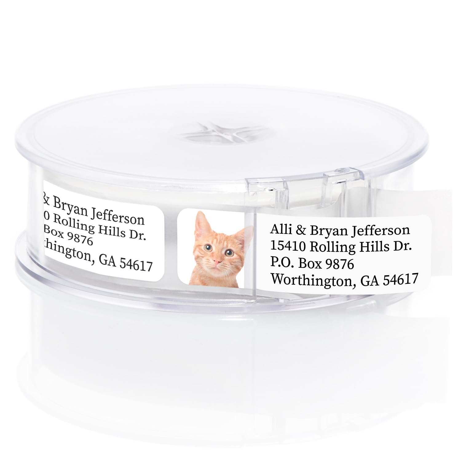 Alternating Cats Rolled Address Labels / 250 Personalized Return Address Labels/Designer Address Stickers in Elegant Plastic Dispenser