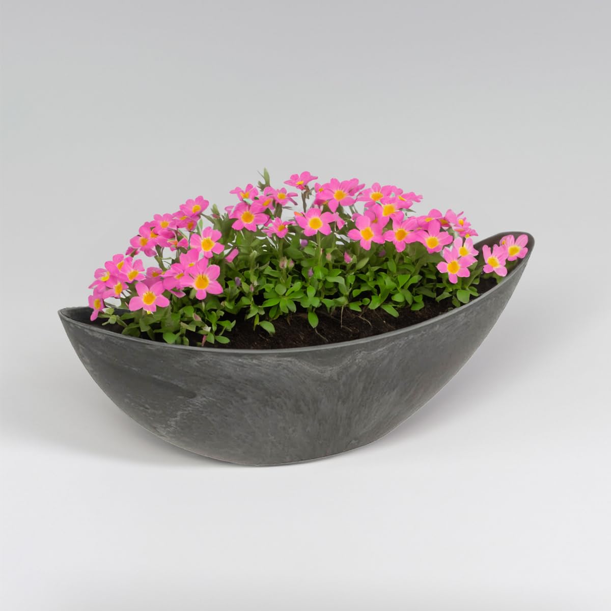 Matches21 Pot de fleurs en plastique Gris foncé 66 x 21 cm