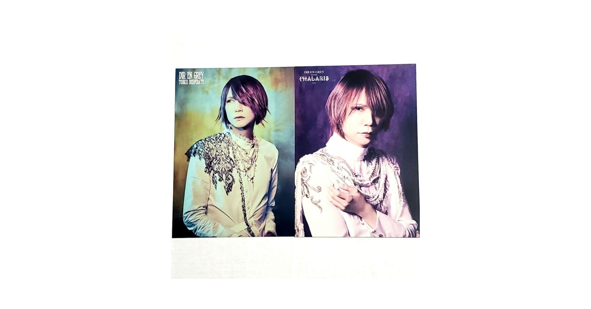 Amazon.co.jp: DIR EN GREY Shinya ポートレート 2種類セット