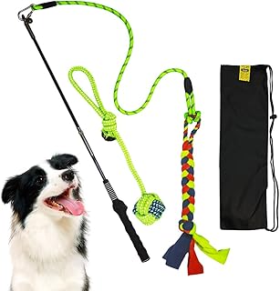 MgcYoHole Flirt Pole for Dogs Interactive Dog Toys for Large Medium Small Dogs Chase and Tug of War, Dog Teaser Wand with Lure Chewing Toy for Outdoor Exercise & Training. (Vital Green)