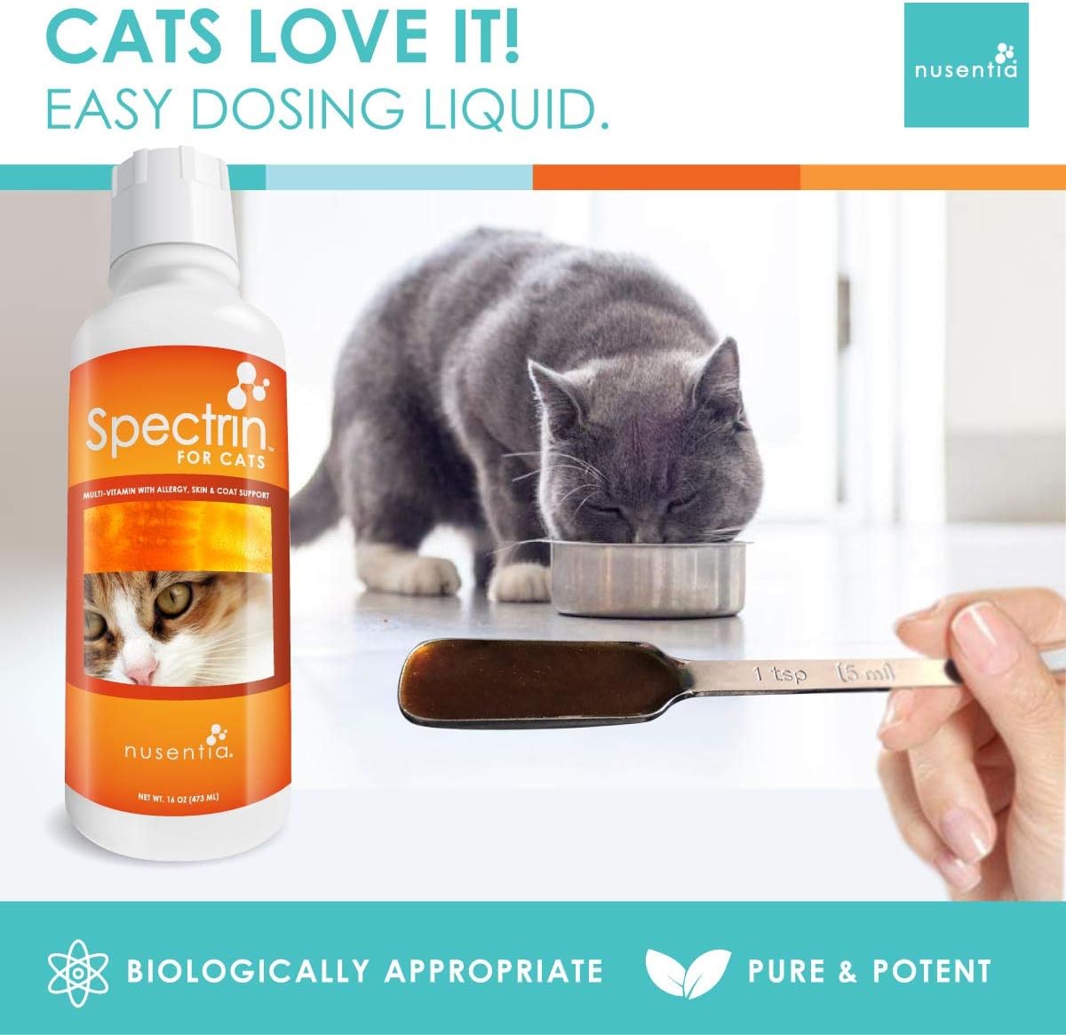 Cat Vitamins - Spectrin 16 OZ - Liquid Vitamin & Antioxidant Supplement for Cats - 96 doses : Pet Supplies