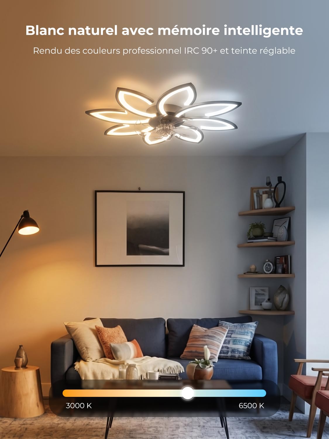Ventilateur de plafond, 90 cm, très silencieux, à intensité variable, avec ventilateur, moteur DC, moderne, fonction été, hiver, pour chambre à coucher, cuisine, noir