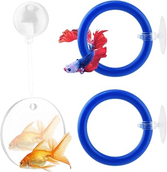 Betta Fish Enrichment Toy Set, 2 Training Rings with Mirror for Exercise