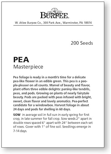 Vista 21 de Burpee Sugar Snap Pea Seeds 300 semillas