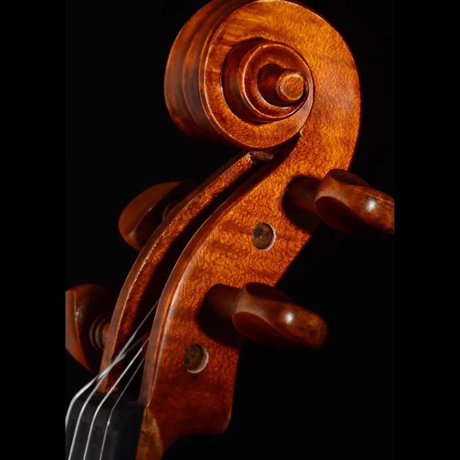 Professional Violin European Workshop Violin Series Tonewood Warm Brown Color Maple Accessories - Image 5
