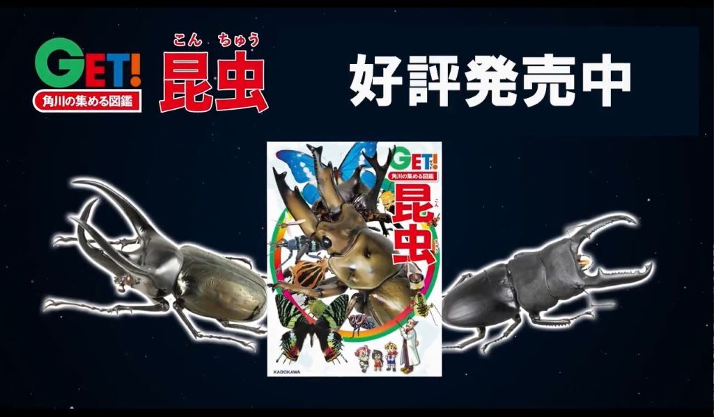 新品あり 14冊まとめ売り 講談社の動く図鑑 move 13冊 角川の集める図鑑 講談社の動く図鑑MOVE他☆18冊セット☆まとめ売り - メルカリ
