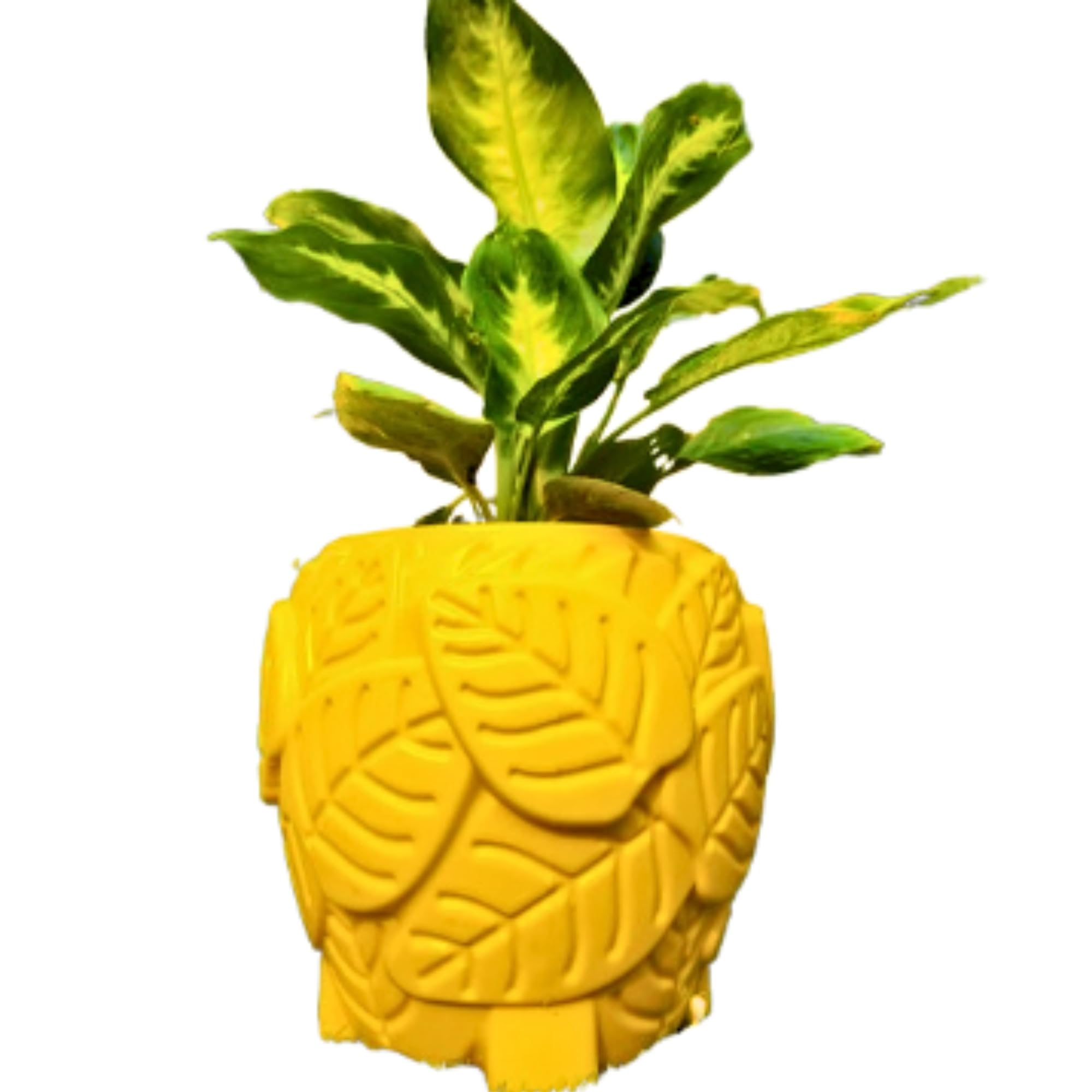See full amazon price history chart for Botanic Bliss Leaf Patterned/Designer Plastic Plant Pot | Yellow | 8 inches Big | gamla | homedocor Garden Office Balcony | Indoor/Outdoor use | Flower Plant Vegetable Succulent herb Pot Botanic Bliss Leaf Patterned/Designer Plastic Plant Pot | Yellow | 8 inches Big | gamla | homedocor Garden Office Balcony | Indoor/Outdoor use | Flower Plant Vegetable Succulent herb Pot (B0DBV6KTWP) Amazon Price History, Amazon Price Tracker