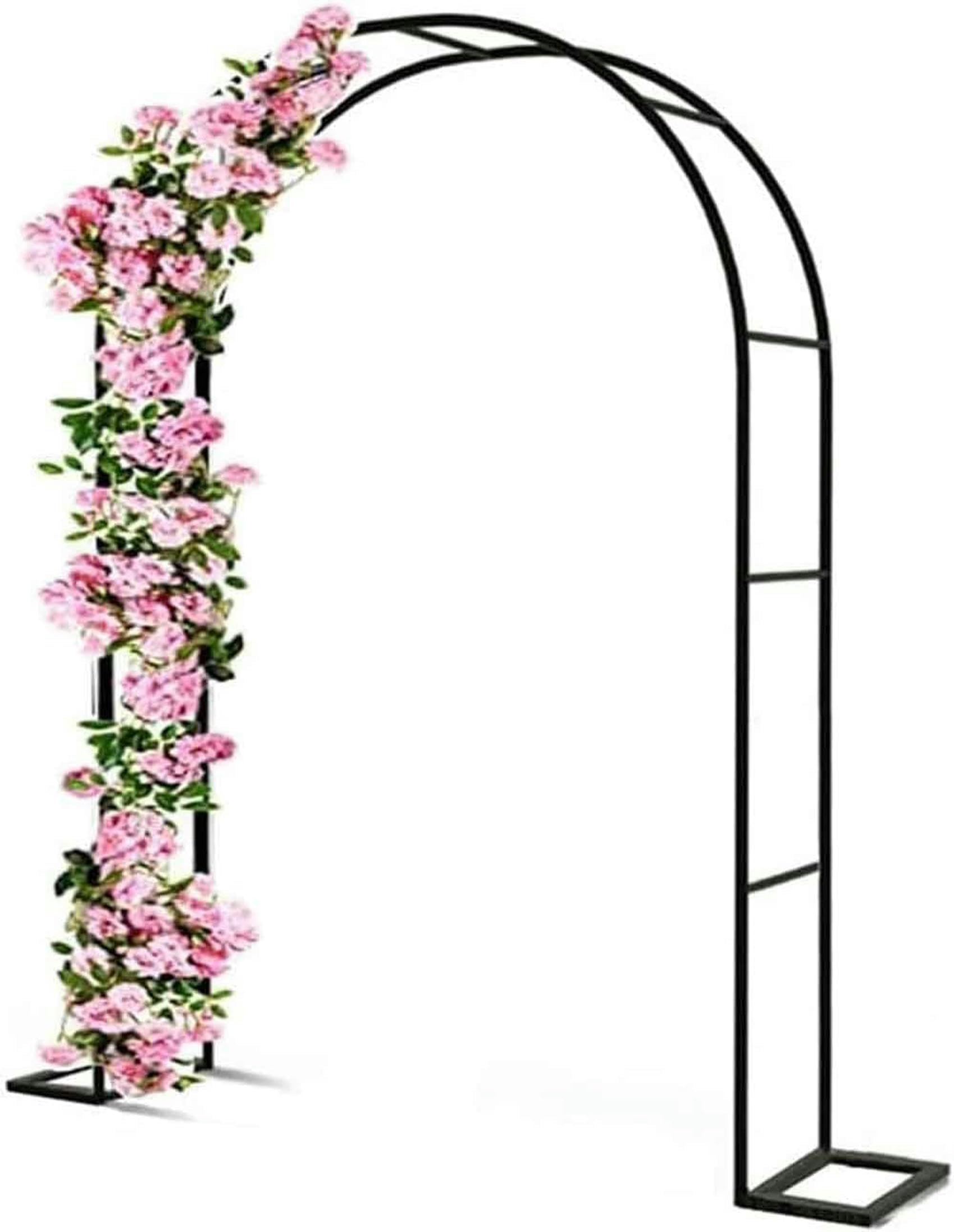 Cadre de support du jardin contre l'affaissement des plantes grimpantes