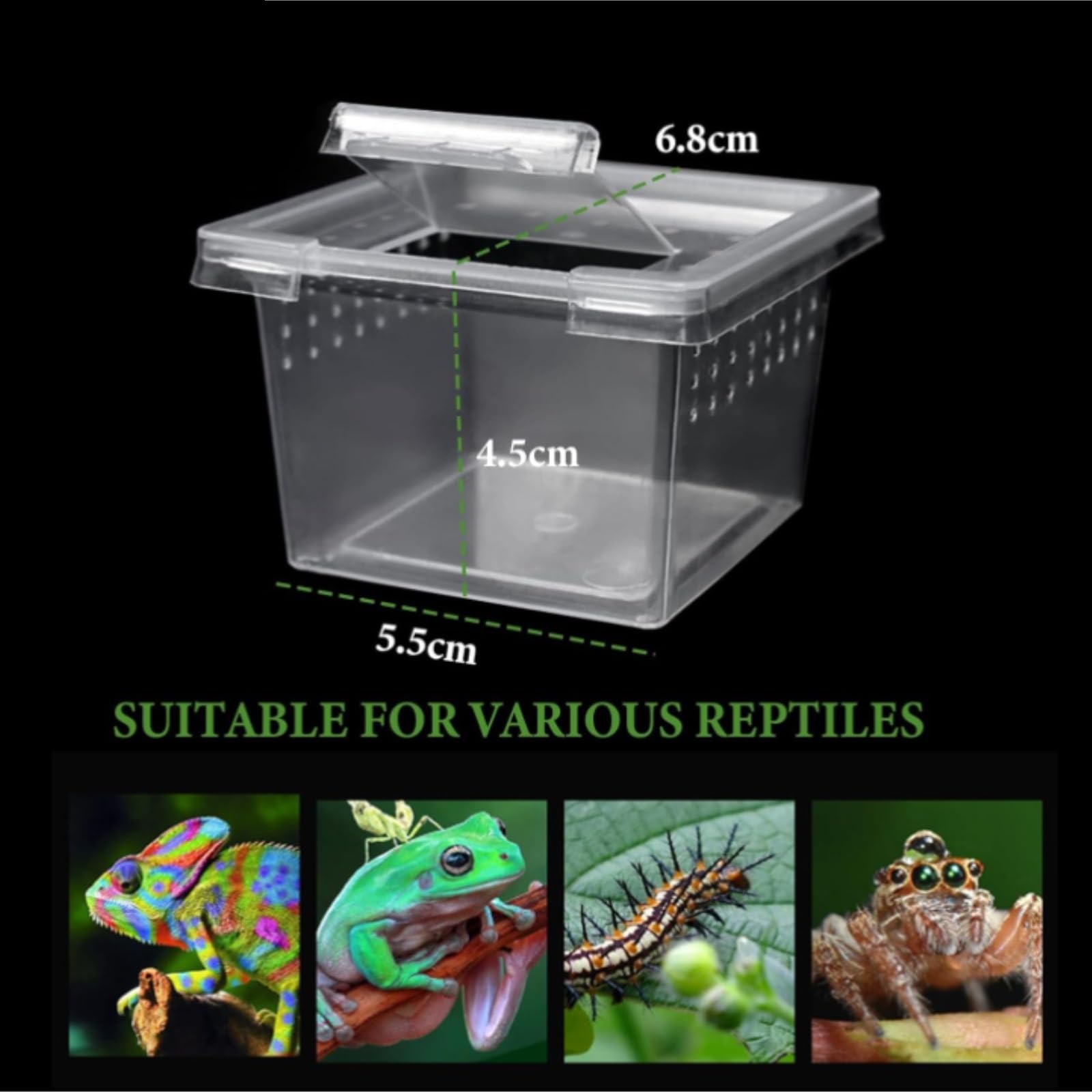 Terrario Per Rettili Spide 10 Confezioni Di Terrari For Ragni E Insetti, Contenitori For La Riproduzione Schiusa Terrarium Kit Esplorazione