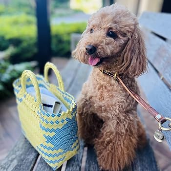 【新品未使用】カゴ風バッグ　焦茶×パープル サマンサベガ SAMANTHAVEGA 千鳥格子ベルト金具ハンドバッグ