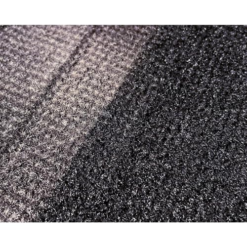 Foliatec Teppich Farb Spray negro mate pack de 2 sprays para moqueta de coche 8