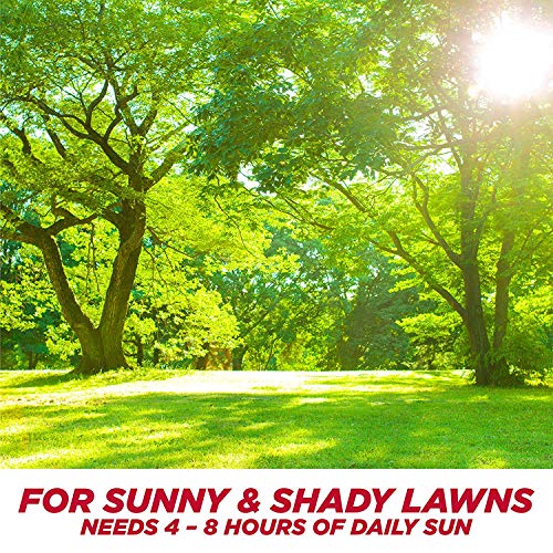 Pennington One Step Complete Sun & Shade Bare Spot Grass Seed, 10 Pounds, White #TOP4