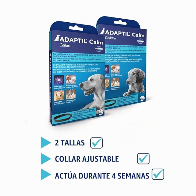 Foto 6 de 8 de ADAPTIL Calm - Collar calmante para Perros, Talla M/L, medianos y Grandes, feromonas calmantes, Alivio…
