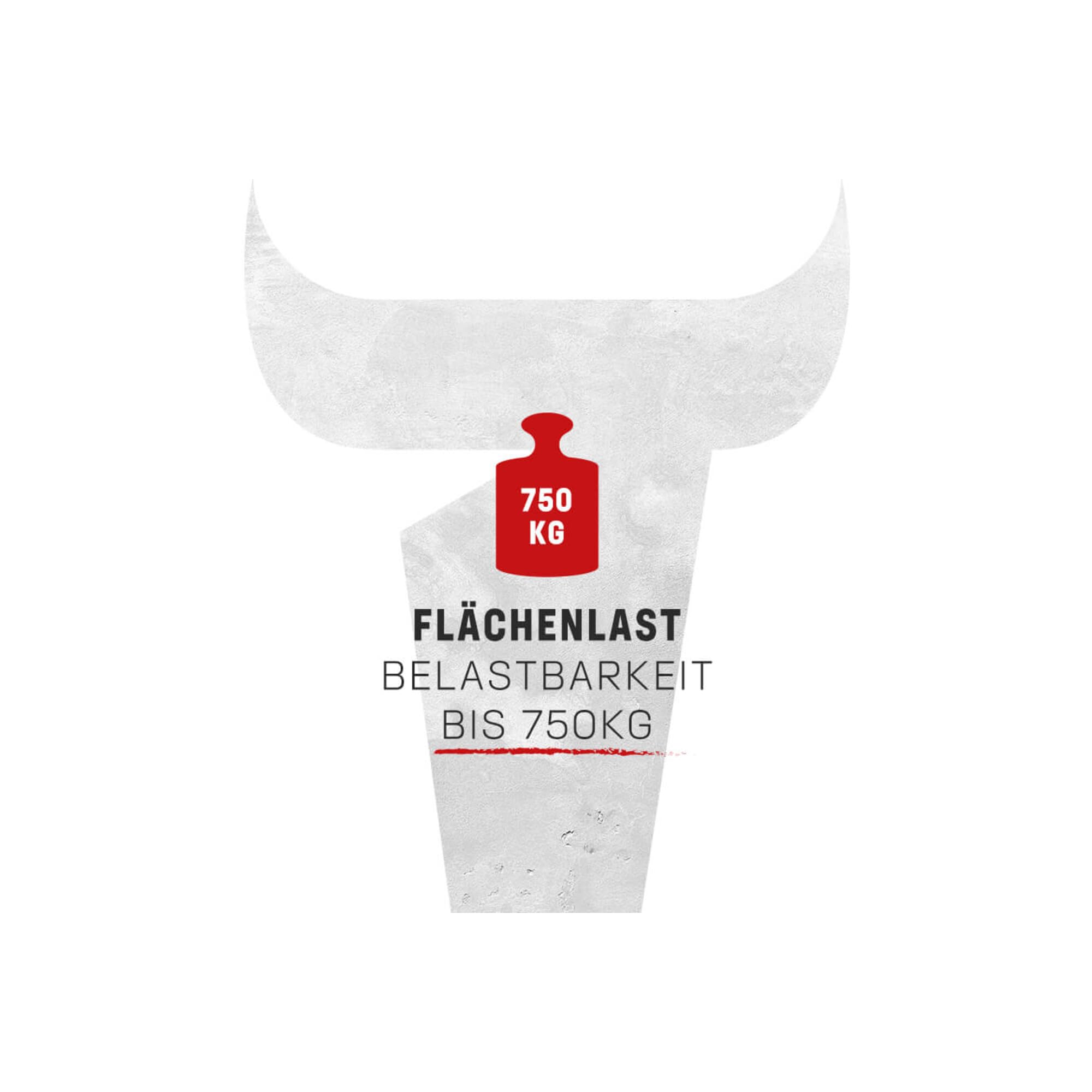 STIER Werktisch Premium, 2000x700x840 mm, robuste Konstruktion aus Stahl und Buche, umweltfreundlich pulverbeschichtet, ideal für Werkstätten und Heimwerkerprojekte, vielseitige Montagewerkbank
