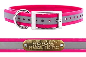 1" Wide Waterproof Reflective Dog Collar