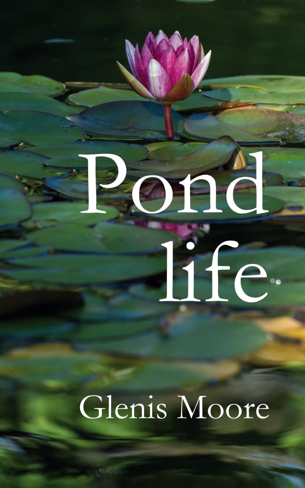 Pond life