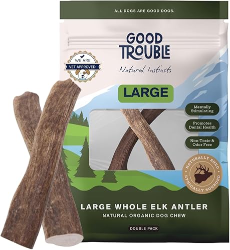 Miniatura 1 de Good Trouble Pets Premium Wild Elk Astas masticables para perros (paquete de 2)  Huesos duraderos para perros masticadores agresivos, masticables de