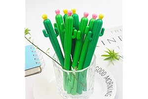Pack of 30 Cactus Themed Gifts and Home Office Supplies