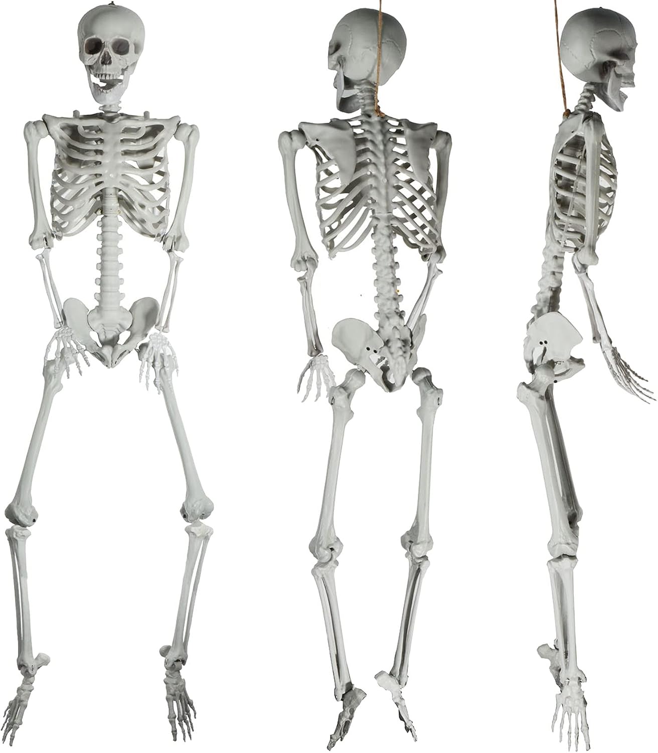 5.4ft Halloween Human Skeletons Full Body Bones with Movable Joints for Halloween Props Spooky Party Decoration, 2Packs
