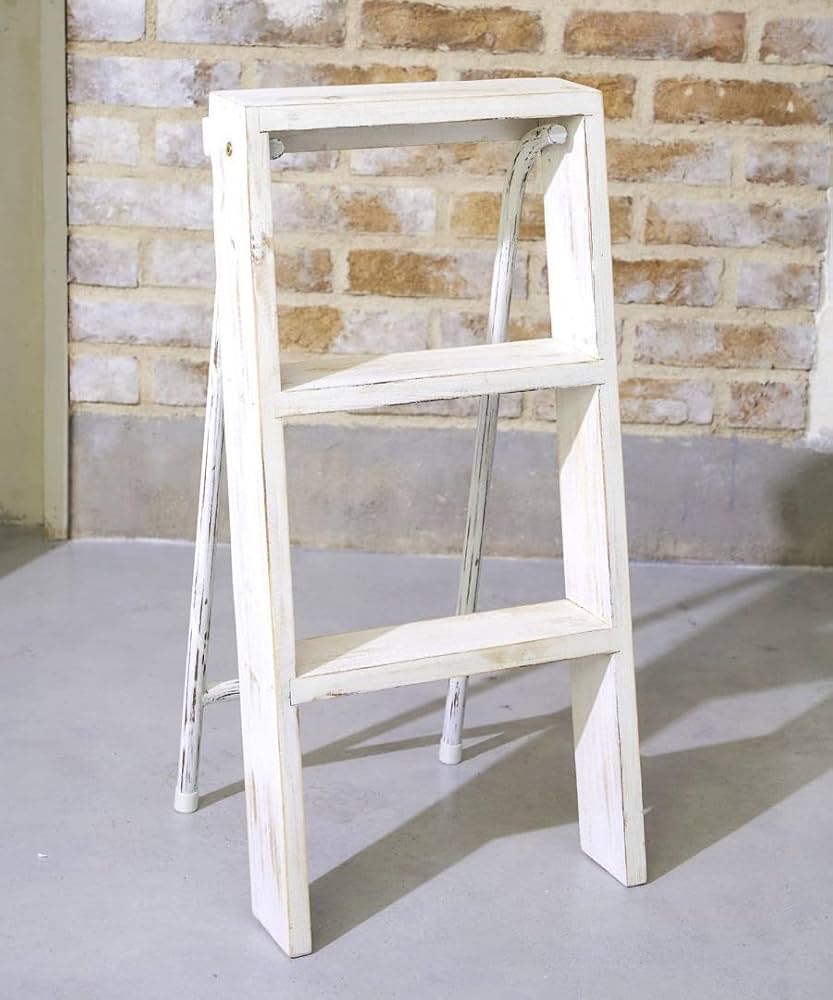 サリュ！ラダーシェルフ ウッドラダーラック | salut!(サリュ)ライフスタイル | PAL