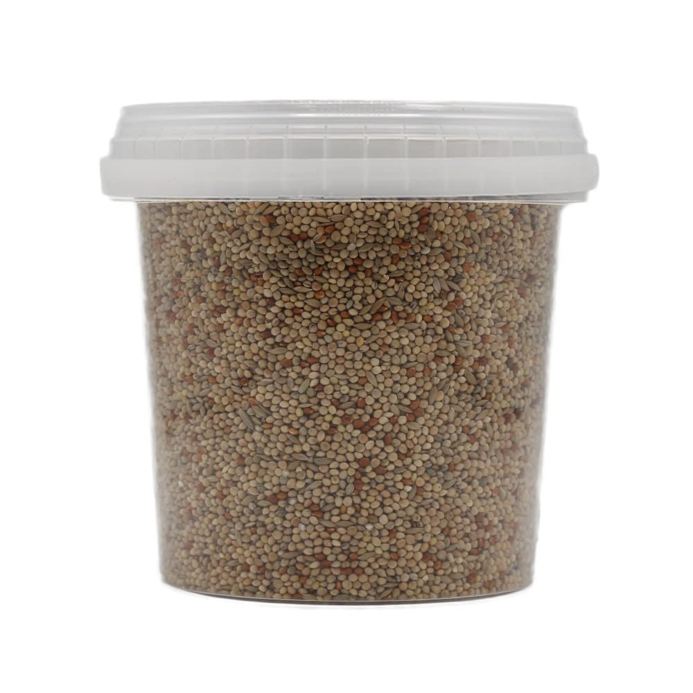 Extra Select Budgie Seed Mix - Indoor Bird Food for Small Birds Only in Handy Bird Seed Storage Tub - 1 Litre - 2