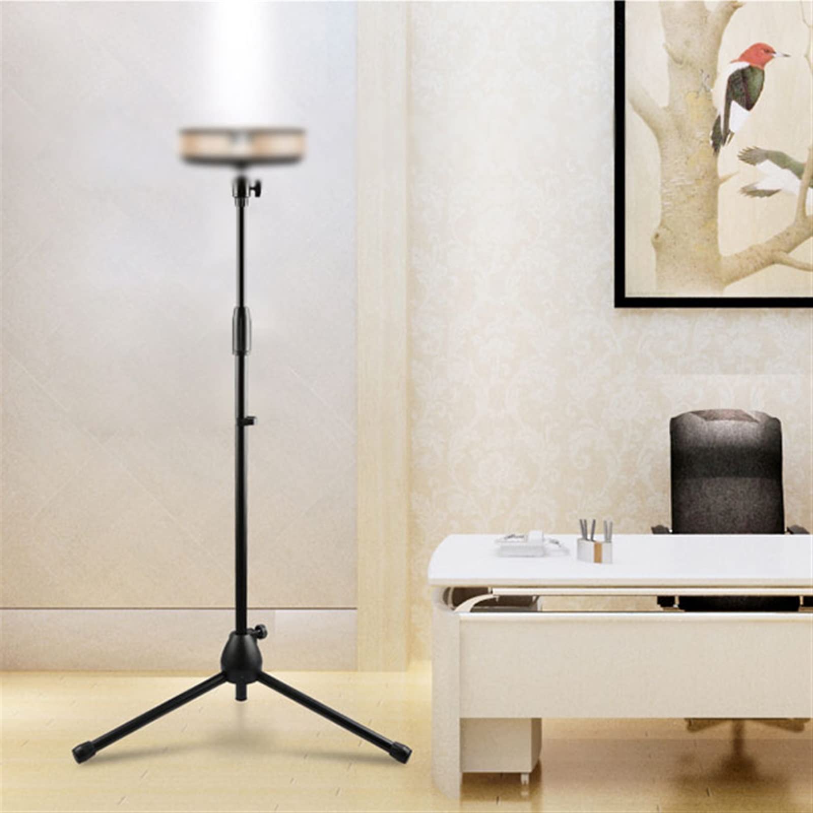 HASMI Soporte Proyector Pared Proyector Stand Floor Toiling Trípode Rack Sala de Estar Sala de conferencias Universal Welescópica Estante Negro Colgador de proyector