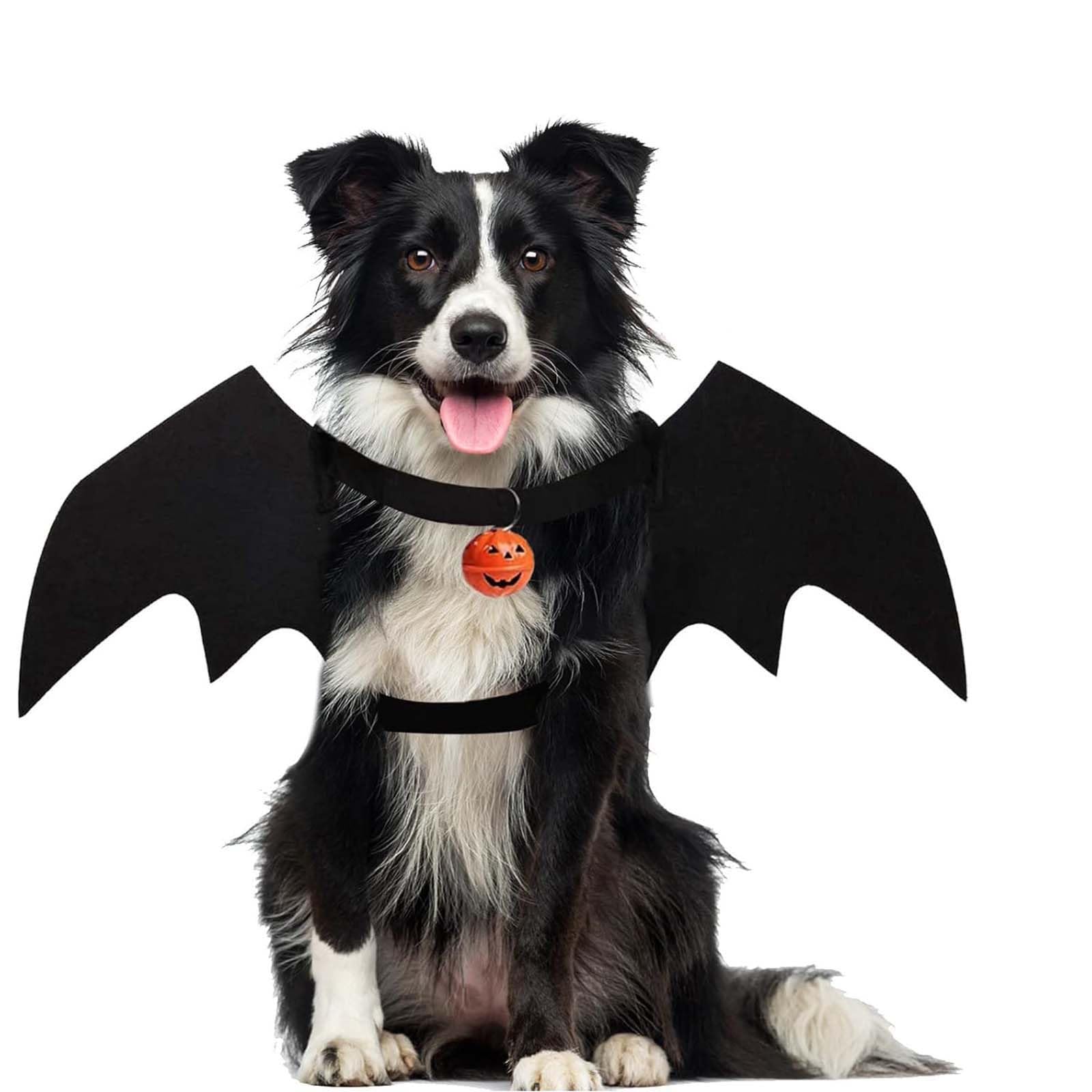 Ling & Bai Halloween Pet Bat Wings Dog Funny Costume with Pumpkin Bells Cute Cat Dress Up Accessories Kitten Puppy Apparel for Cosplay Parties (Black-M)