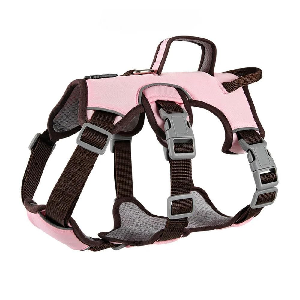 Harnais anti-explosion DYRBF et collier réfléchissant pour Bouledogue Français et gros chiens