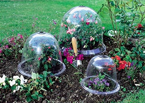 Haxnicks 2 x King size Victorian Bell Garden Cloche Plant Protection | Growing Vegetable | Specimen Plants | Transparent, 31 x 40 cm BELL090101 | 2 Count (Pack of 1)