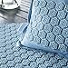 Acupressure Mat and Pillow Set - Ideal for Back Pain Relief and Neck Pain Relief - FSA/HSA Eligible - Advanced Stress Reliever - Muscle Relaxant - Free Tote Bag - Eco Lite (Sky Blue)