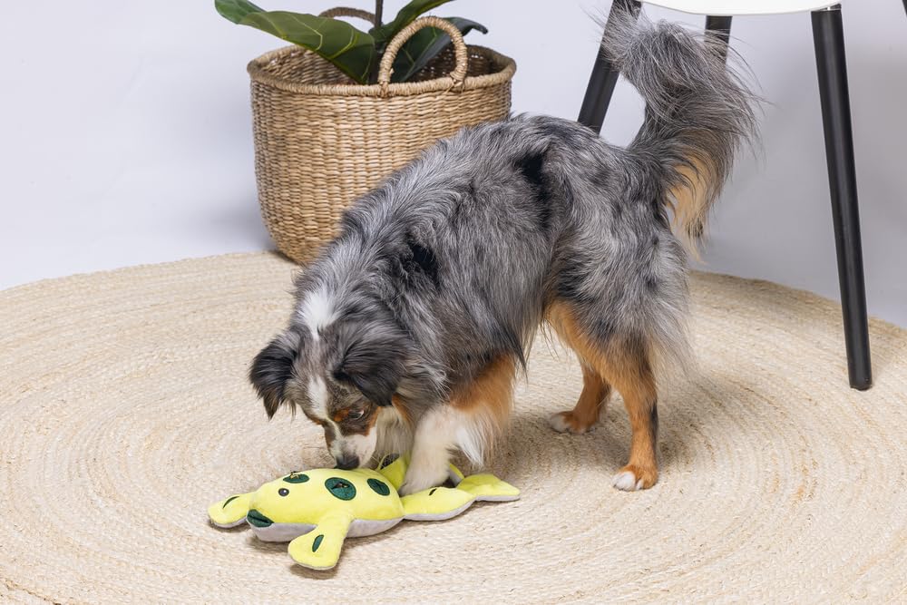 Beeztees Köpek Ödül Saklama Oyuncağı, Kurbağ, Peluş, Sarı, 31x20x7cm