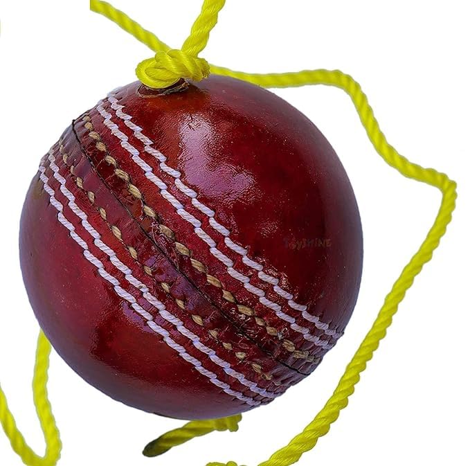 CRAZX Leather Cricket Shot Practice Hanging Ball, String Cricket Ball and Knocking Cricket Ball with Rope (Multi-Color) (Pack of 1)