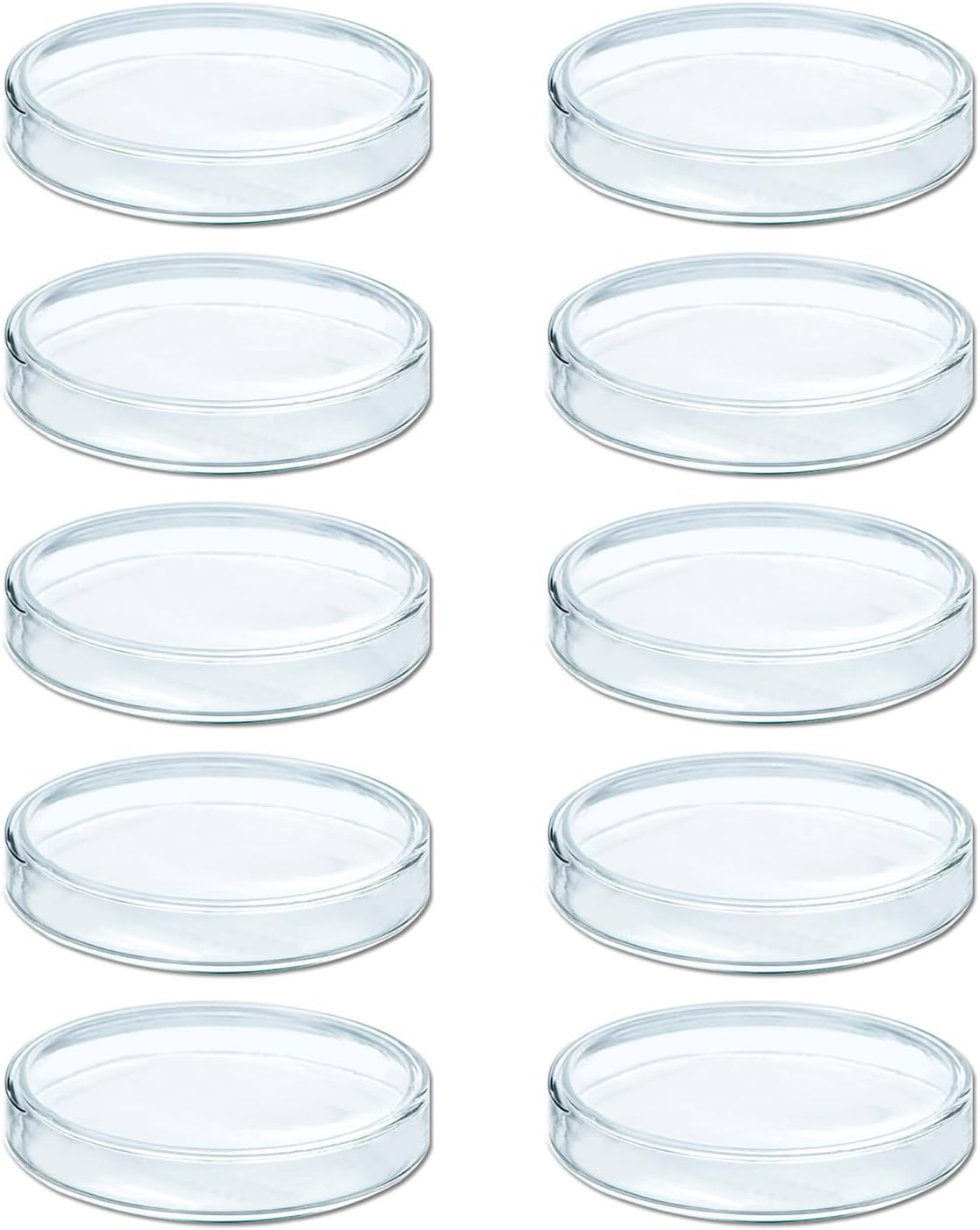 100mm 10Pieces High Borosilicate Glass Dishes for Bioresearch Sterile Dishes
