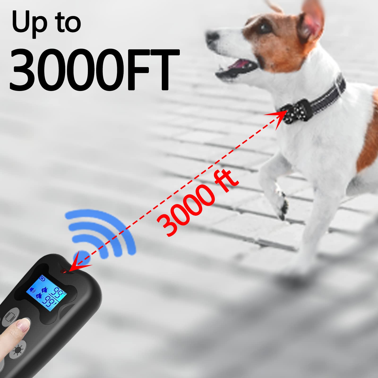 Amazon.com: Shock Collar for 2 Dogs, Rechargeable Electric